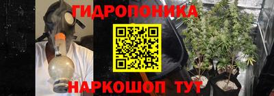 гашик Донской
