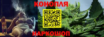 крисы Донецк