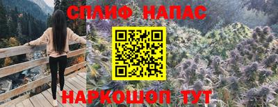 гашик Донской